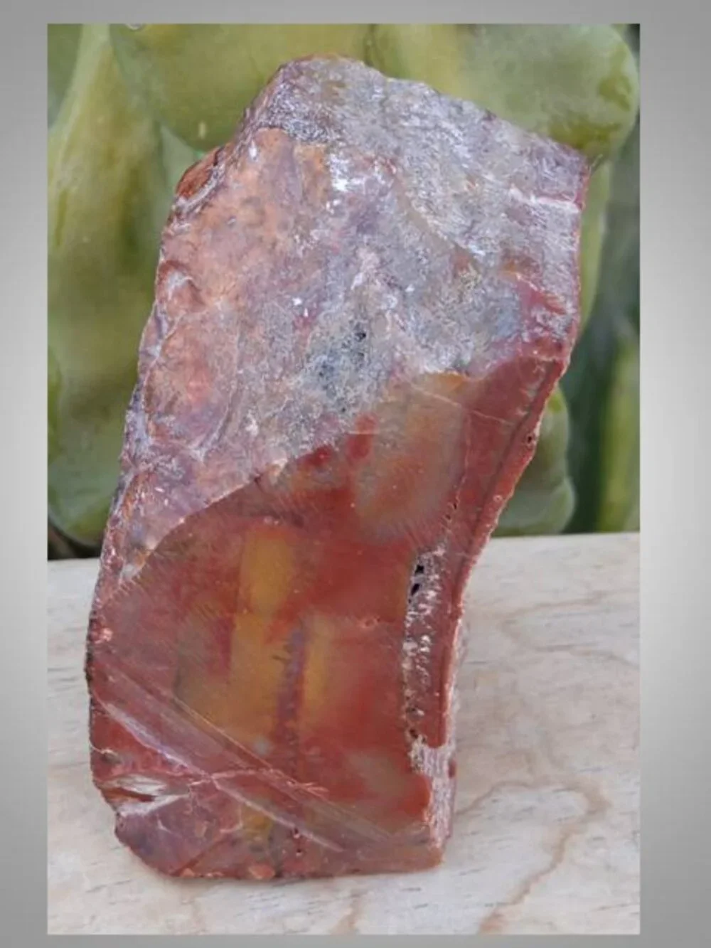 #5 Petrified Wood chunk stone fossil FORTUNE strength CALMNESS